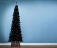 Christmas Tree World |