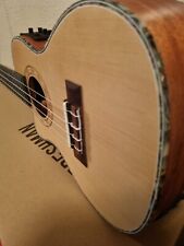 concert ukulele left hand