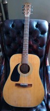 Rare Fender DG10LH NS 