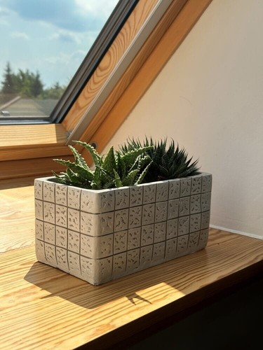 Concrete flower pot - flower,