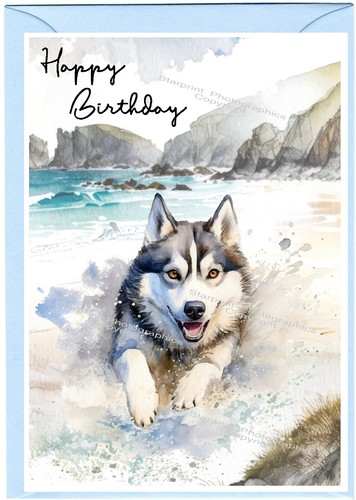 Siberian husky dog - (4", 6")