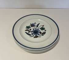 6 Vintage Dinner Plates Myott