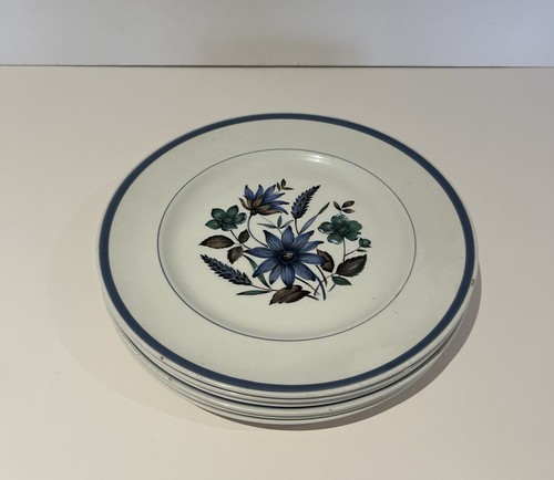Vintage dinner plates myott - dinner,
