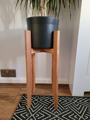 Tall solid oak plant - tall,