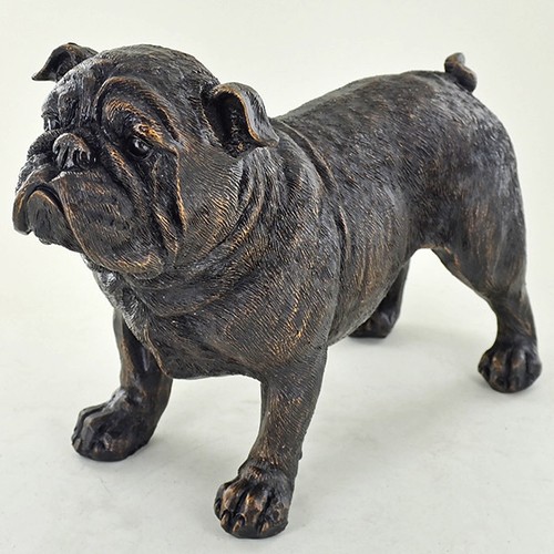 Large bulldog dog standing - bulldog,