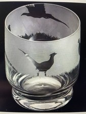 Dartington Aspect Tumbler Glass Pheasant Design Hand Finished 350ml New Boxed