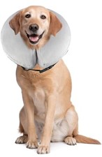 PET SPPTIES Pet Inflatable