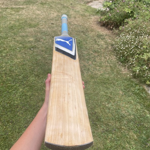 Puma iridium 4000 - 4000, cricket