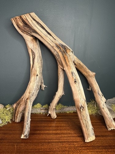 Manzanita driftwood - 24”,