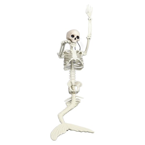 Life size skeleton - _life,