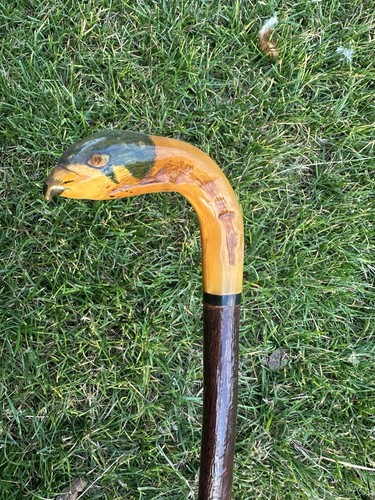 Rams horn walking - horn, stick