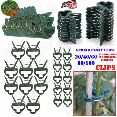 100 garden plant - garden,