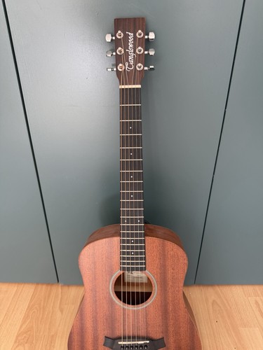 Tanglewood winter leaf travel - leaf,