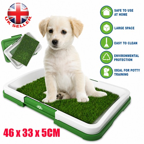 Pet dog toilet - pet,
