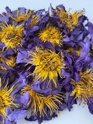 Blue lotus organic dried - organic,