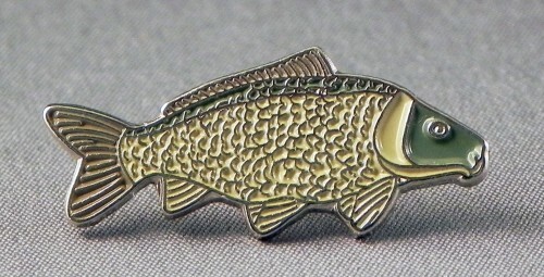 Common carp fish enamel - carp,