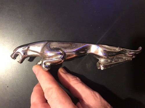 Jaguar leaper bonnet - jaguar,