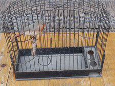 Vintage Old Wire Bird Cage Garden Interior Styling Prop Artificial Robin