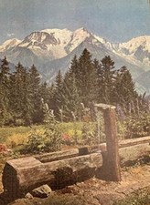 (705) Victory Artistic Gold Box Plywood Jigsaw Puzzle MOUNTAIN SPRING 2000 Pc