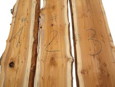 1x Yew Burl Wood Yew Wood Wild