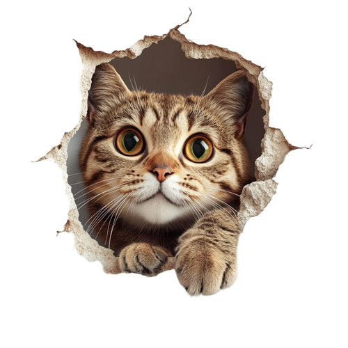 Peeking tabby cat vinyl - cat,