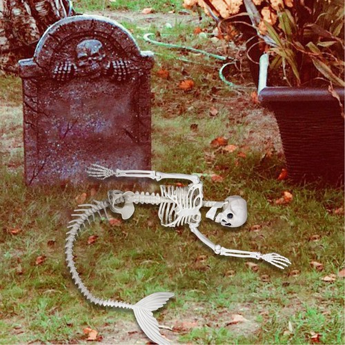 Life size skeleton - —life,