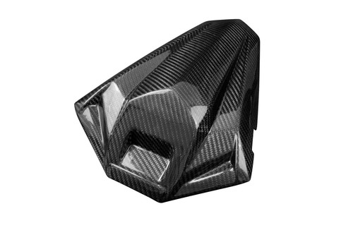Carbon fiber pillion seat - fiber,