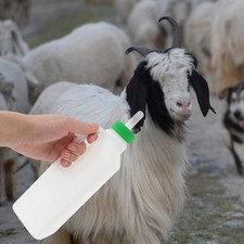 Lamb Creep Feeder Sheep Feeding Bucket Sheep Feeders Poultry Nursing Bottle