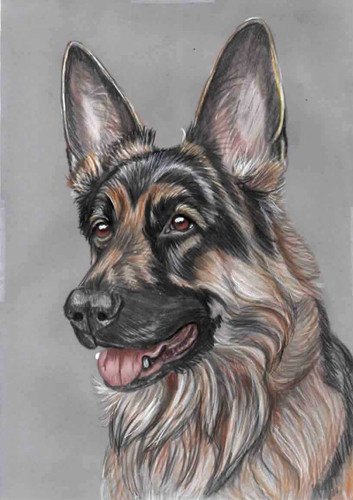 Original color pencil drawing - original,