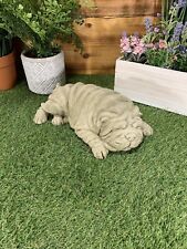 STONE GARDEN LAYING SHAR-PEI