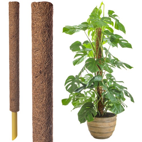 60cm coir moss pole - pole, –