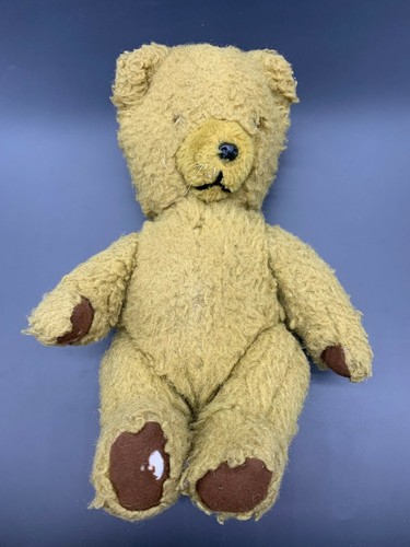 Vintage pedigree teddy - bear,
