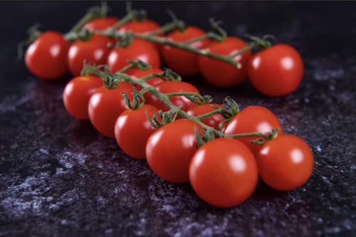 Tomato piccolo plug plants - 3,