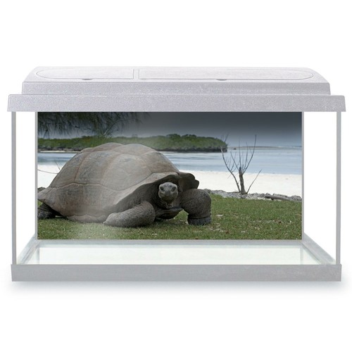 Fish tank background 90x45cm - 90x45cm,