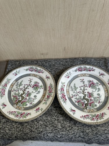 Antique pair wedgwood - pair, of