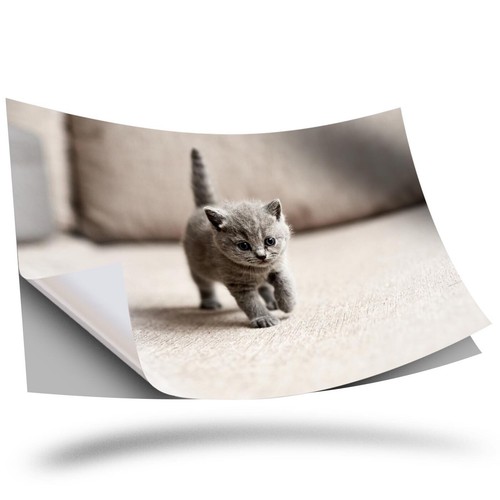 Vinyl sticker british - vinyl,