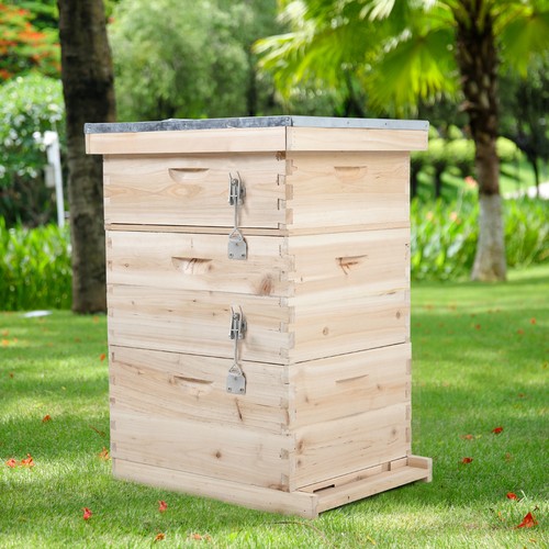 Tiers langstroth bee hive - tiers,