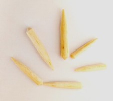 Pole Float Bodies "Power