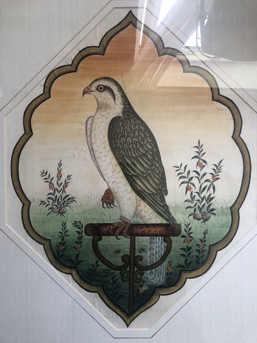 Painting falcon bird - of,