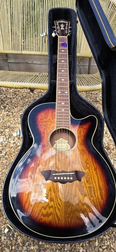 Washburn ea18ts electro - washburn,