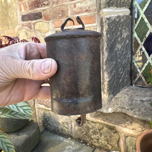 Very primitive cow - cow, bell