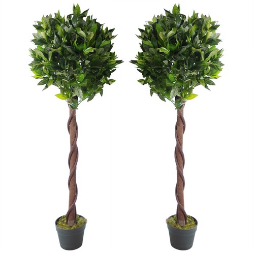 Pair 120cm twisted - of, (4ft)