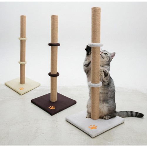 89cm extra tall cat - extra,