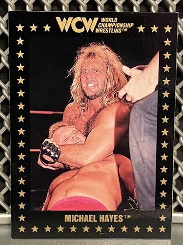 1991 michael hayes - 1991,