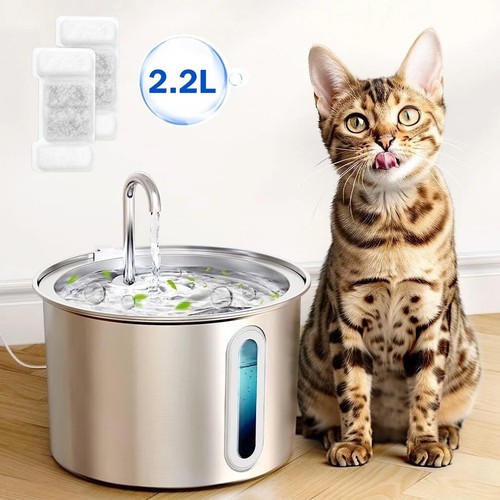 Cat water fountain for - cat,