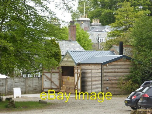 Photo trewithen gardens - photo,