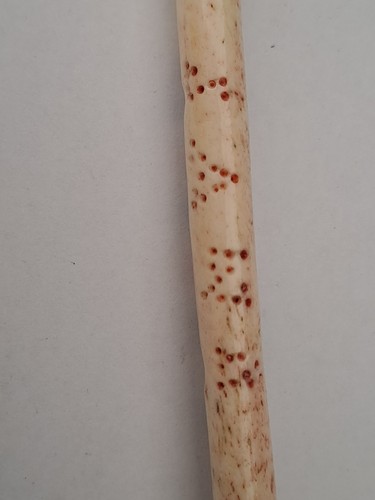 Antique bone lace - antique,