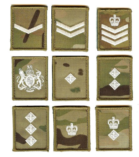 Ivory multicam mtp rank - on,