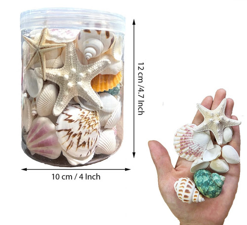 Jar types mixed beach - 12, of