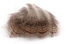Brown Back Hackles from English Grey Partridge for Fly Tying - NEW